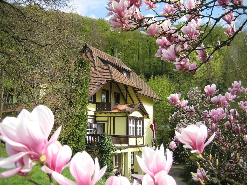 Lettisches Haus Hotel Gundelfingen  Buitenkant foto