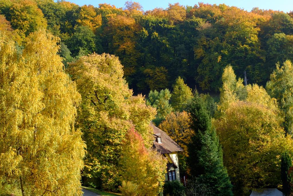 Lettisches Haus Hotel Gundelfingen  Buitenkant foto