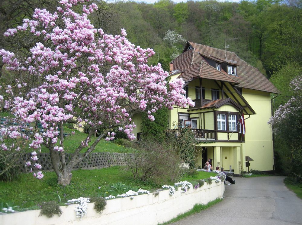 Lettisches Haus Hotel Gundelfingen  Buitenkant foto